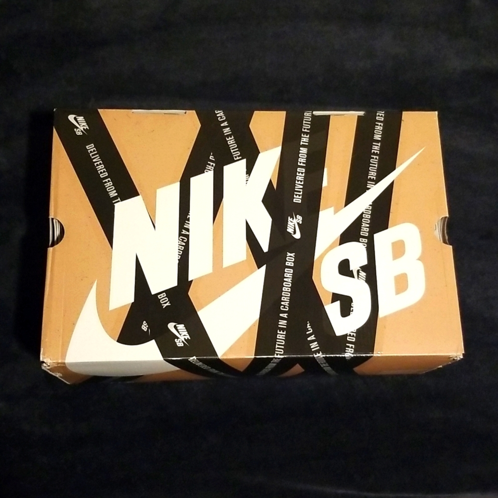 Vintage Nike Dunk Mid Pro SB